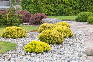 Customized Gig Harbor commercial landscaping in WA near 98335